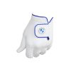 Picture of BMW GOLF COBRA MEN TOUR GLOVE